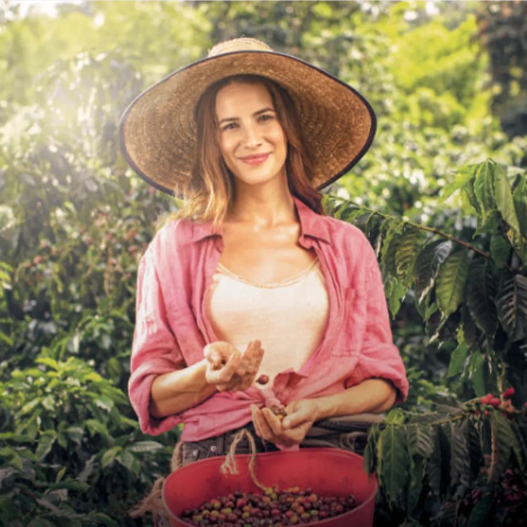 Café, con aroma de mujer (2021): Un romance entre cafetales y diferencias sociales